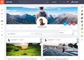 page